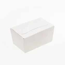 250g Fold Flat Ballotin; Shiny White